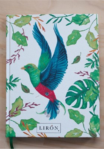 LIBRETAS TAPA DURA ALZANDO EL VUELO