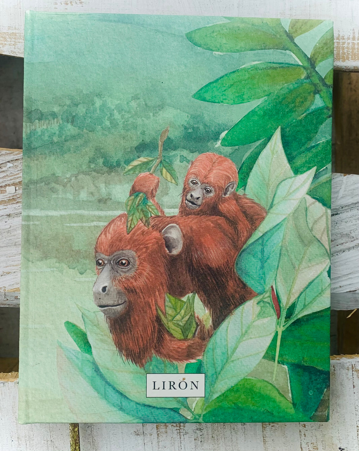 LIBRETAS TAPA DURA LIRÓN TRASCIENDE