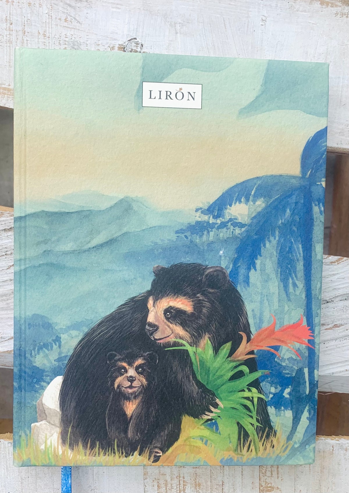 LIBRETAS TAPA DURA LIRÓN TRASCIENDE