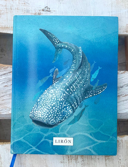 LIBRETAS TAPA DURA LIRÓN TRASCIENDE
