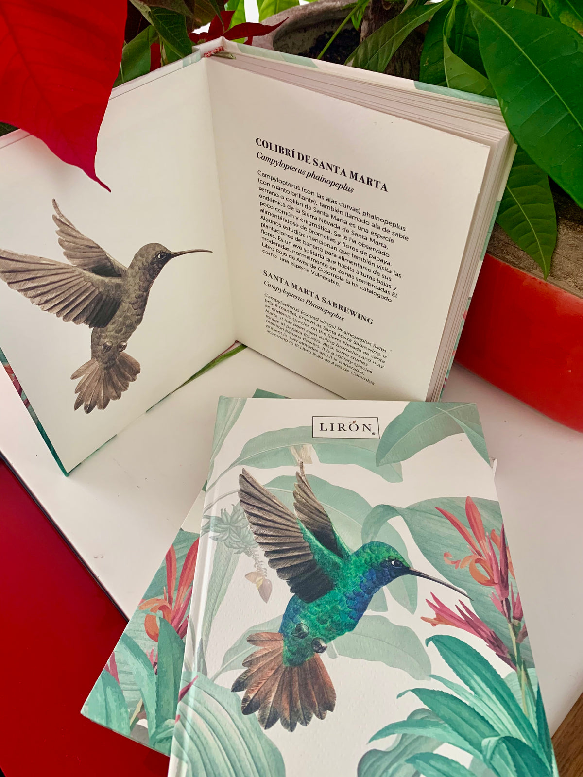 LIBRETAS COLIBRÍ TAPA DURA