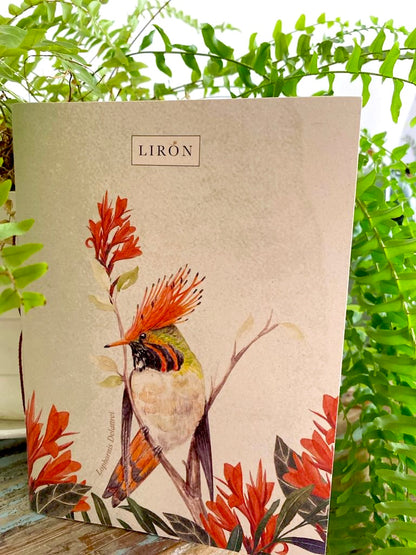 LIBRETAS TAPA BLANDA COLIBRÍES DE COLOMBIA