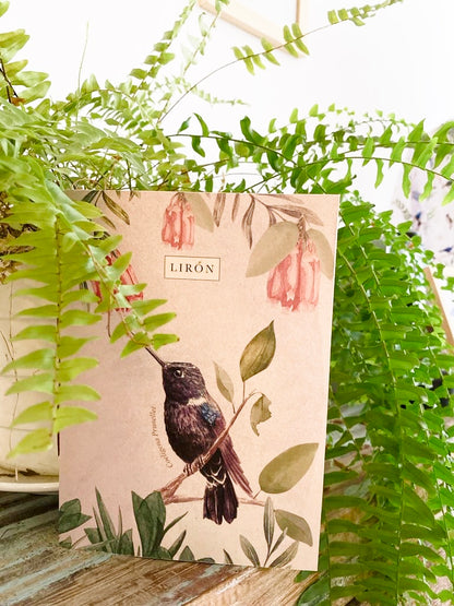 LIBRETAS TAPA BLANDA COLIBRÍES DE COLOMBIA