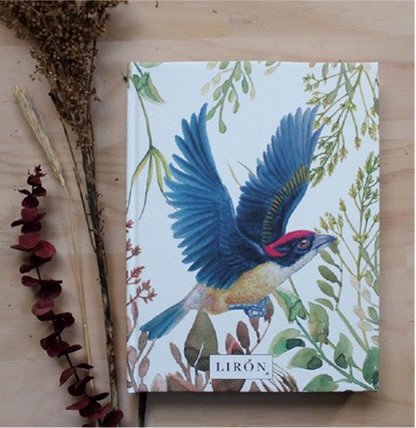 LIBRETAS TAPA DURA ALZANDO EL VUELO