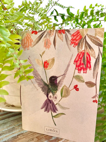 LIBRETAS TAPA BLANDA COLIBRÍES DE COLOMBIA