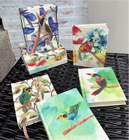 LIBRETAS TAPA DURA ALZANDO EL VUELO