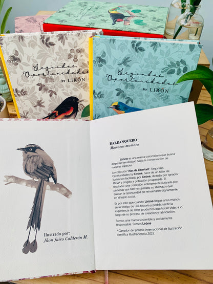 LIBRETAS TAPA DURA ALAS DE LIBERTAD - SEGUNDAS OPORTUNIDADES BY LIRÓN