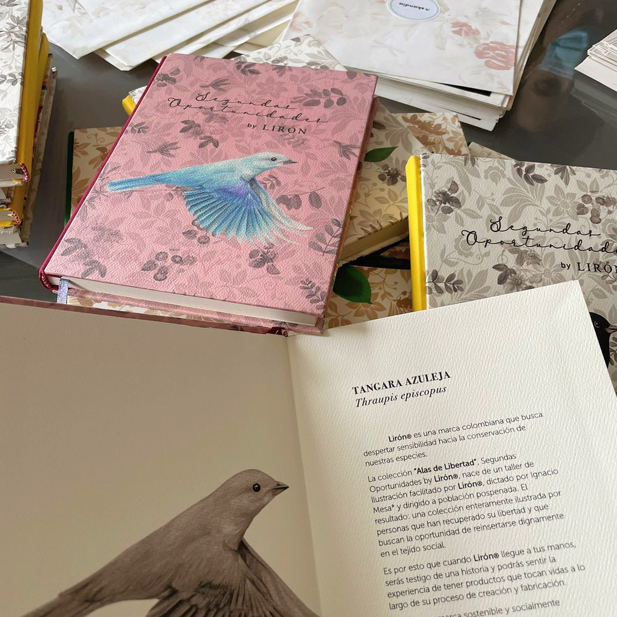 LIBRETAS TAPA DURA ALAS DE LIBERTAD - SEGUNDAS OPORTUNIDADES BY LIRÓN