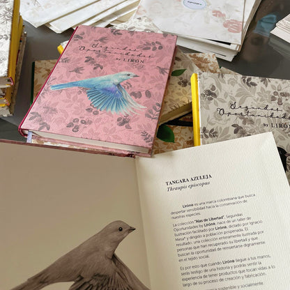 LIBRETAS TAPA DURA ALAS DE LIBERTAD - SEGUNDAS OPORTUNIDADES BY LIRÓN