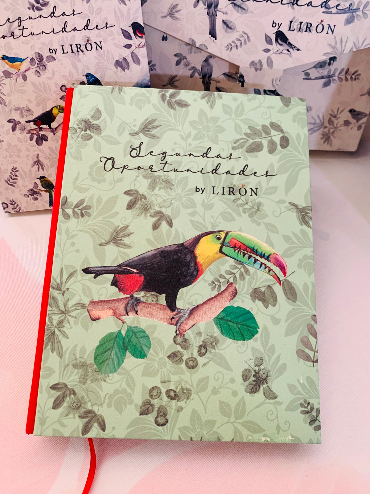 LIBRETAS TAPA DURA ALAS DE LIBERTAD - SEGUNDAS OPORTUNIDADES BY LIRÓN
