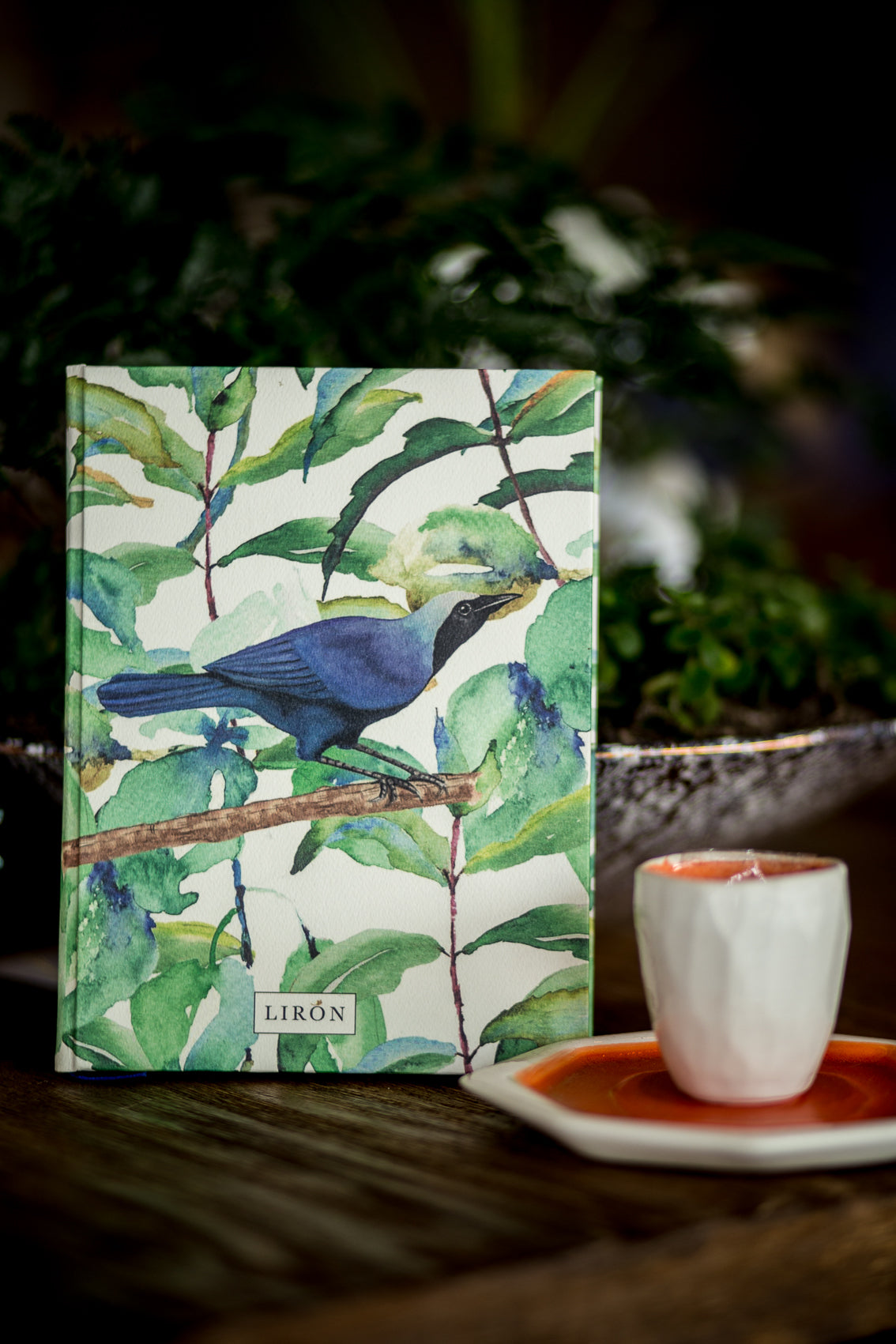 LIBRETAS TAPA DURA ALZANDO EL VUELO